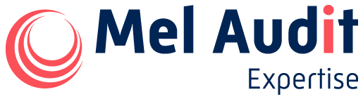Logo Mel Audit